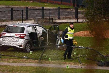 Second person dies after shock playground crash
