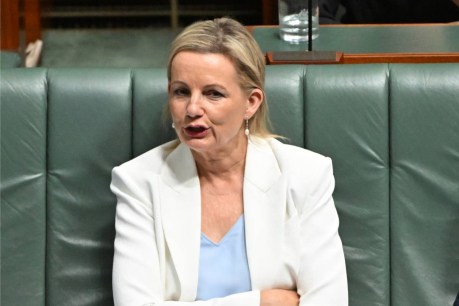 Libs quiet on leadership, despite fresh poll slump