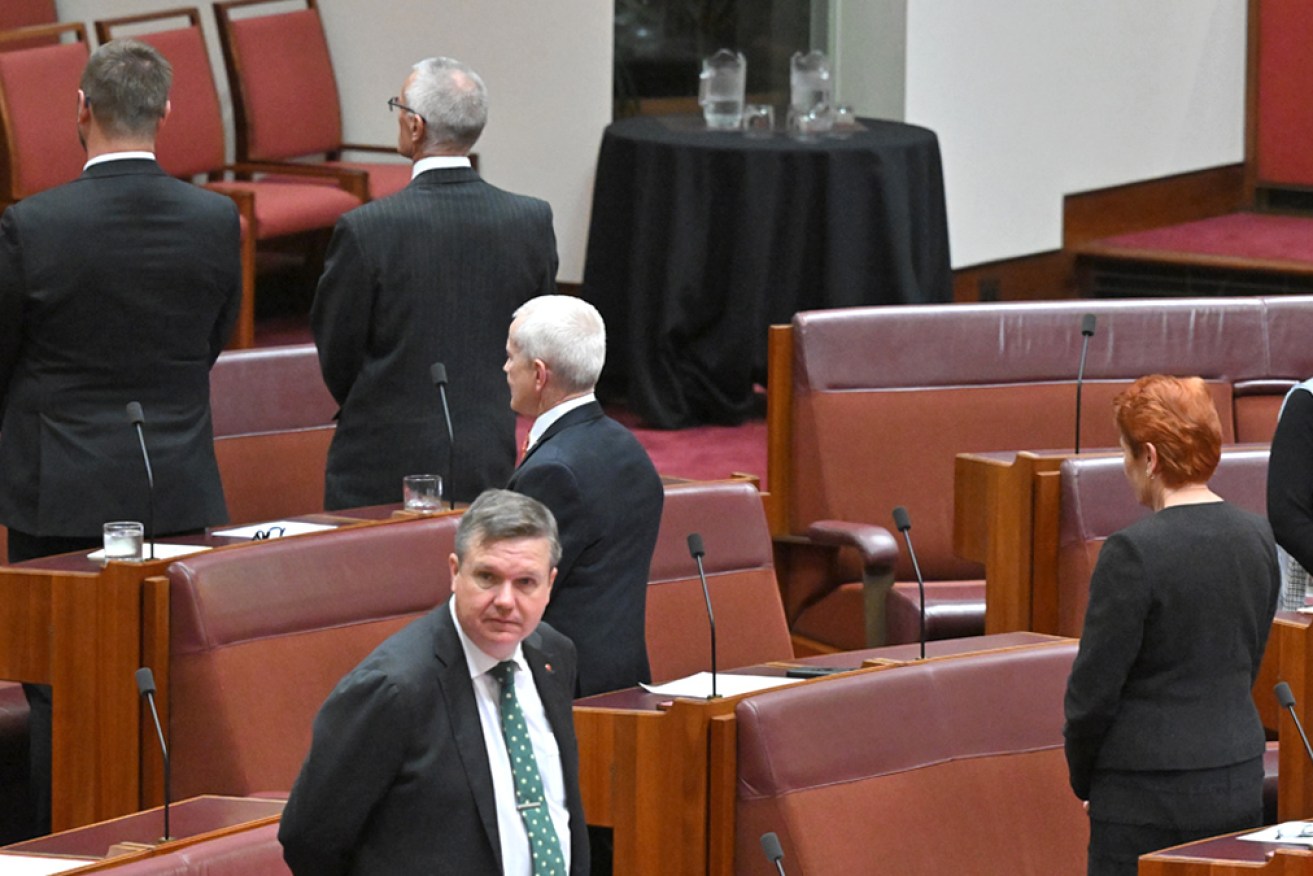 One Nation senators turned their back on the Acknowledgement to Country at the opening of parliament.