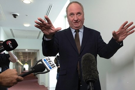 Joyce launches fresh fight against net-zero ‘insanity’