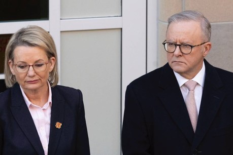 Parliament must decide how far bipartisanship goes