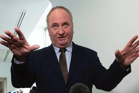 Amy Remeikis on parliament’s ‘messy’ return and the Coalition’s challenge