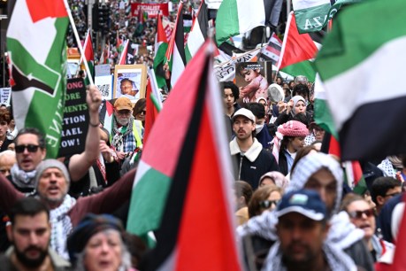 PM firm amid pressure on Palestinian statehood