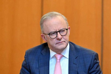 Albanese slams Israel's denial of Gaza starvation