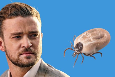 Timberlake’s debilitating disease explained