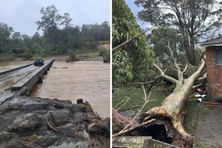 Woman missing, evacuations after wild storms