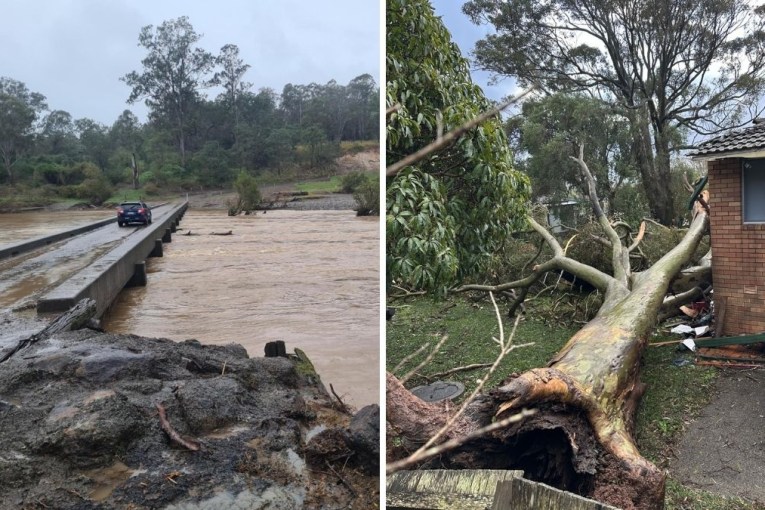 Woman missing, schools shut after wild storms