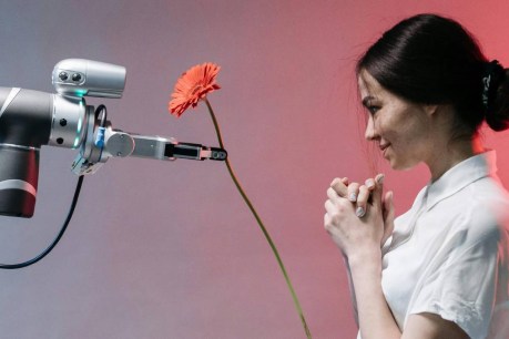 The AI trap and falling in love with ourselves
