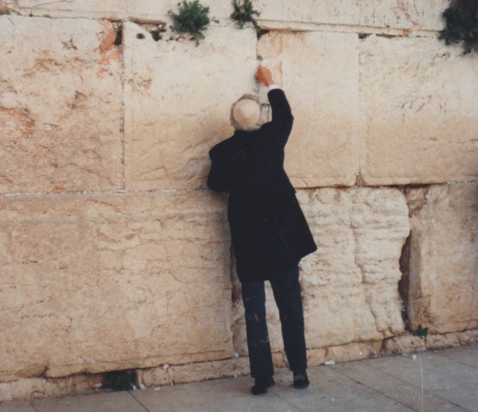 palestine