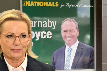 How Barnaby Joyce could be Coalition's saviour
