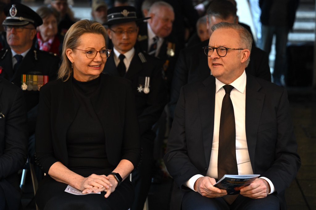 Albanese Newspoll Ley