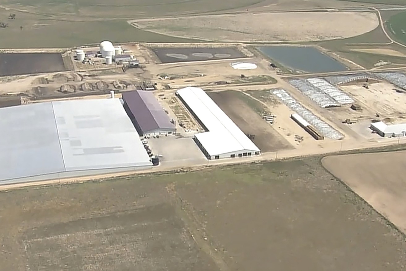 Six people have died from apparent gas exposure at dairy in Keenesburg, Colorado.