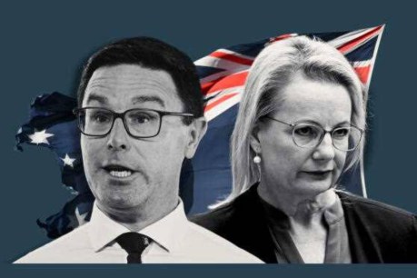 Nationals leader to shed light on coalition bust-up