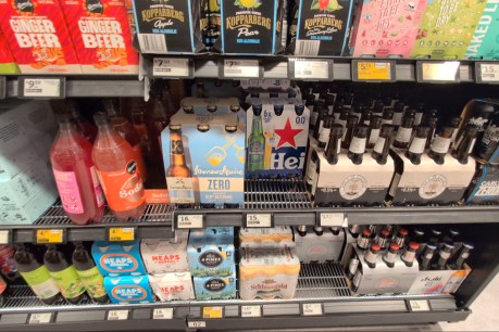 Non-alcoholic beers could be gateway drinks for kids