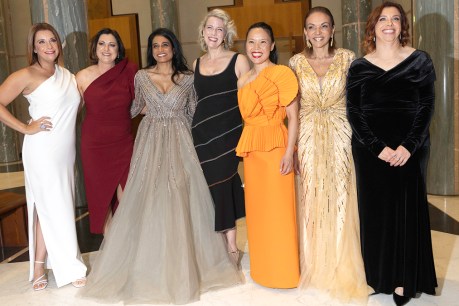 Politicians go glam for Parliament House ball