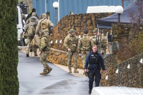 Air support, tech: Inside the hunt for Dezi Freeman