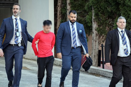 Gang's 'muscle for hire' charged with mum's murder