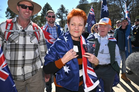 One Nation hits historic high in shock opinion poll