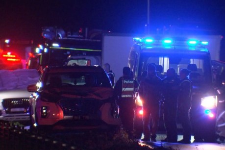 Women killed while trying to help injured roo