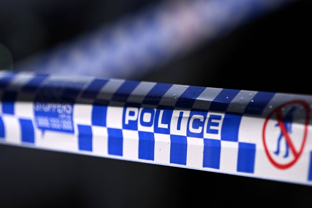 Two teenagers have been charged with terrorism offences over separate incidents in Melbourne and Sydney.