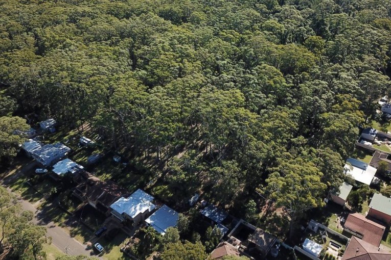 Tree-changers: Where they're going and why