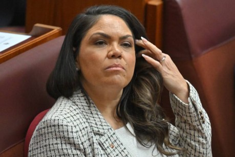 Axed senator still welcome after failure to back leader