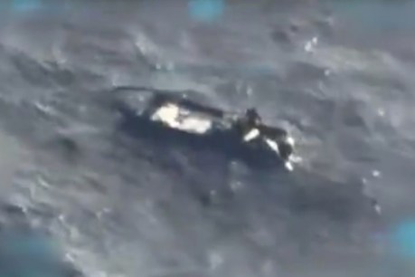 Three dead as Trump claims hit on 'drug boat'