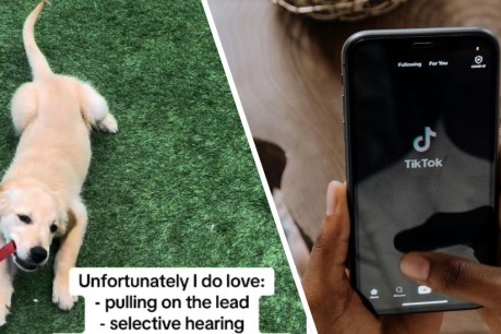 The new TikTok trend you’ll either love or hate