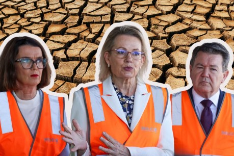 Coalition loves a 'cruel hoax' – and now it is one