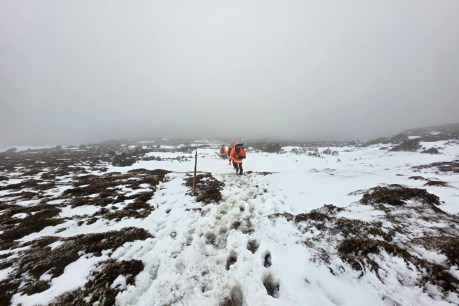 'Unprepared' hikers rescued after woman dies