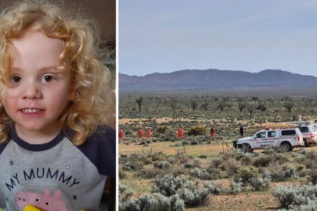 Outback search resumes for missing 4yo Gus 