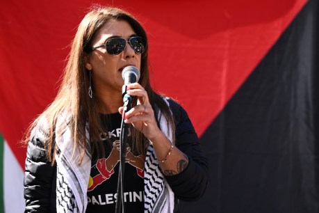 Firestorm over Senator's 'burn down' threat