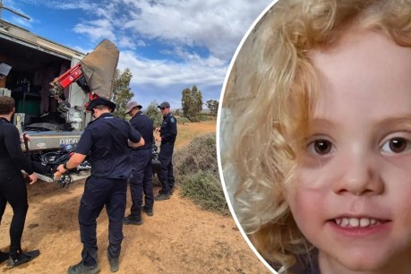 Taskforce set up as search widens for missing Gus