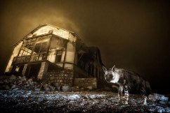 Ghostly image was 10 years in the making
