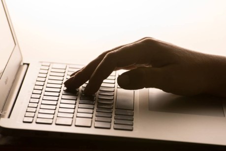 ‘Cuddle army’ wages war on cyber hate against MPs
