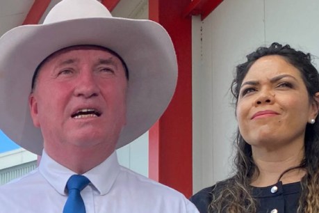 Joyce ‘free’ after joining ranks of Coalition outcast