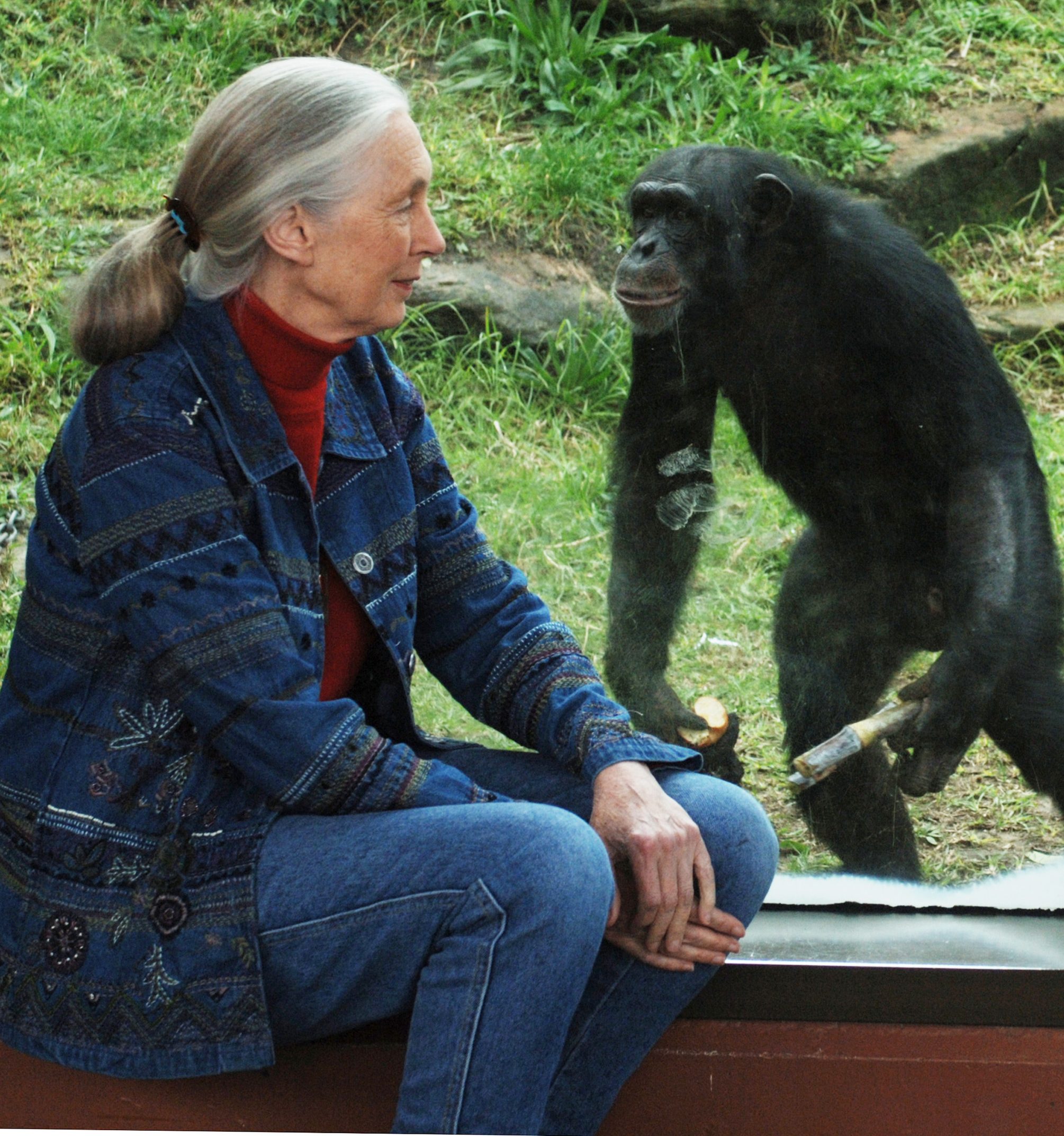 Jane Goodall