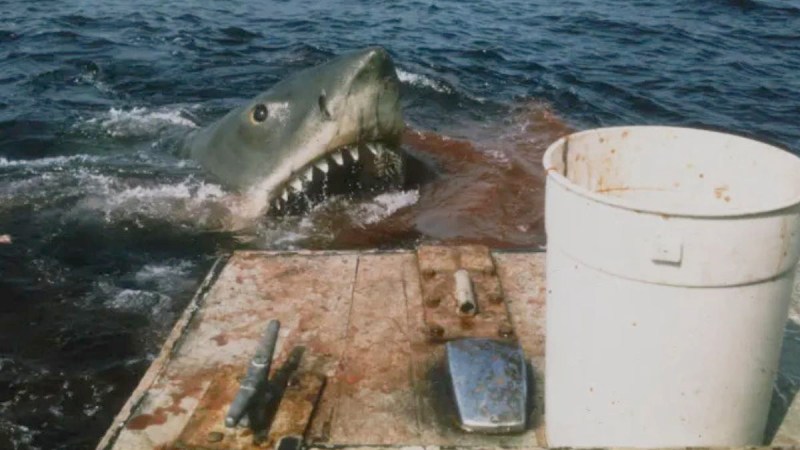 shark movies