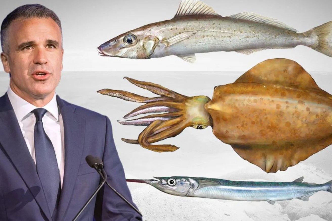 SA Premier Peter Malinauskas announced the restrictions on Thursday. They come into effect on November 1.