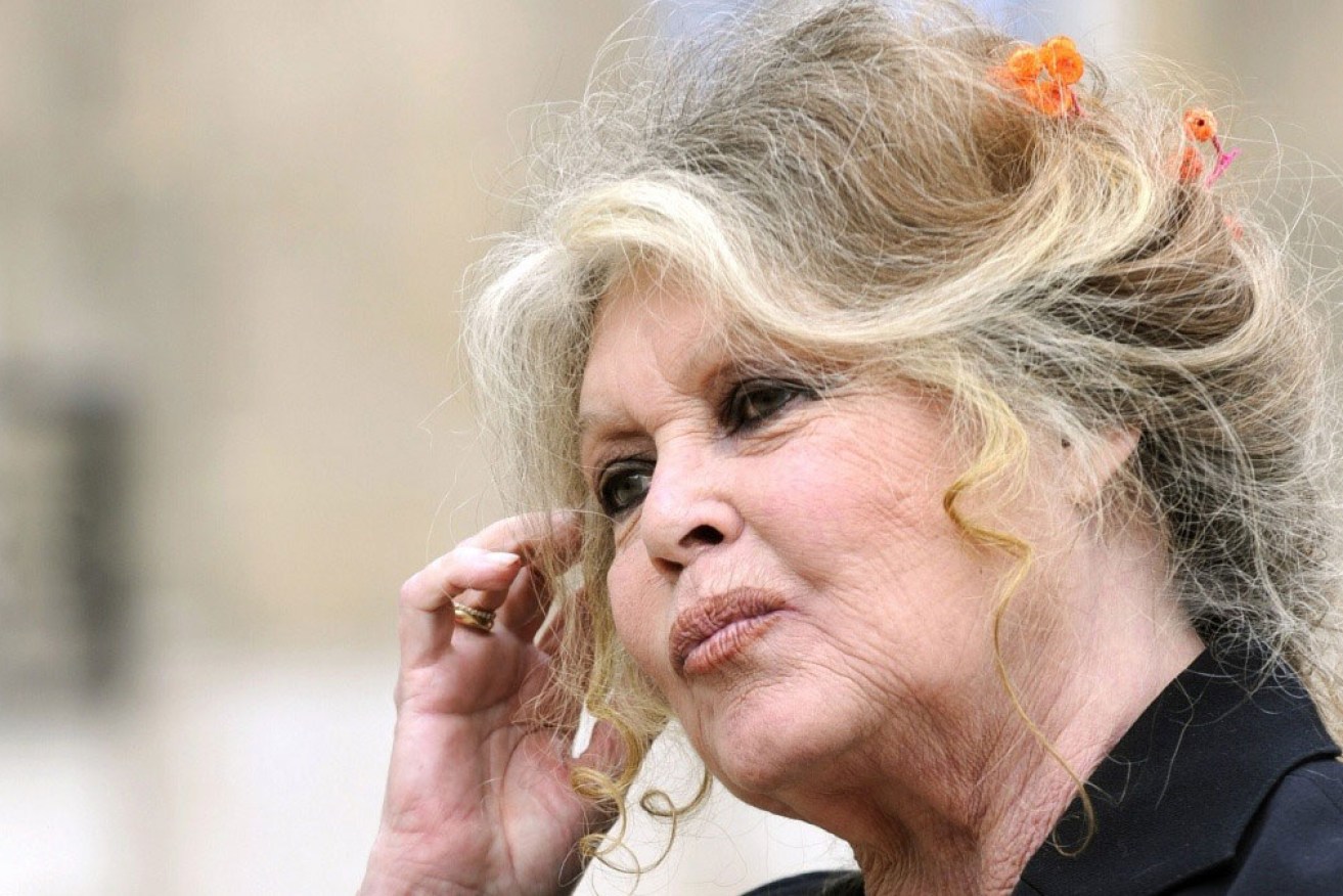 Brigitte Bardot says she has no intention of bowing out just yet. <i>Photo: Getty</i>