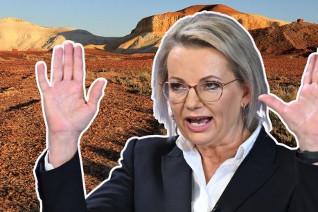 Craven, ill-advised and now repeatedly wedged, it&#8217;s too late for Ley