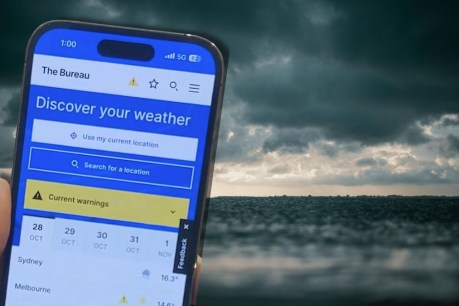 Fury as BOM reveals online update cost $96m