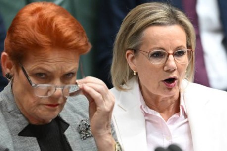 One Nation could overtake Coalition as opposition