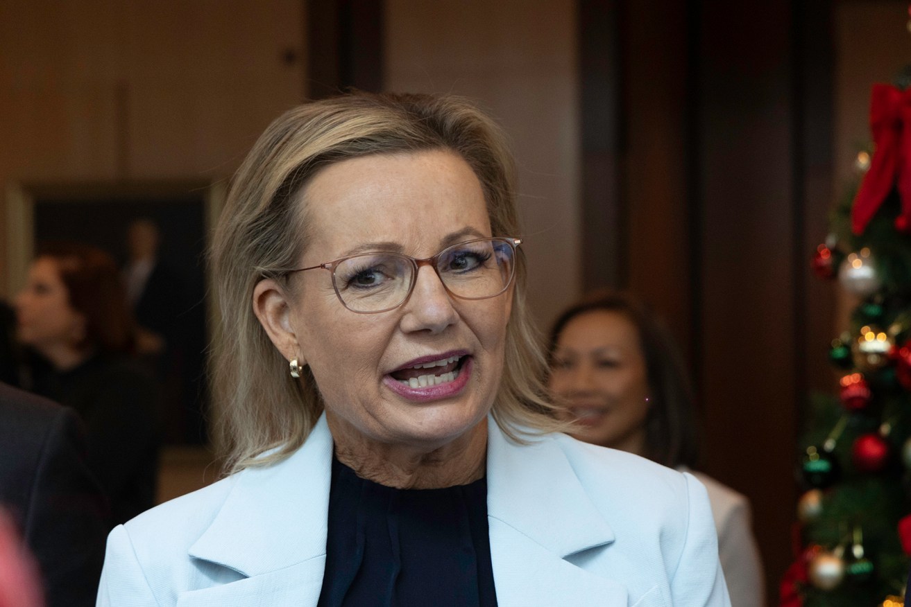 Sussan Ley says she never supported 'net-zero at any cost'. <i>Photo: Mike Bowers</i>