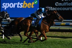 Melbourne Cup hopeful is doing a 'rain dance'