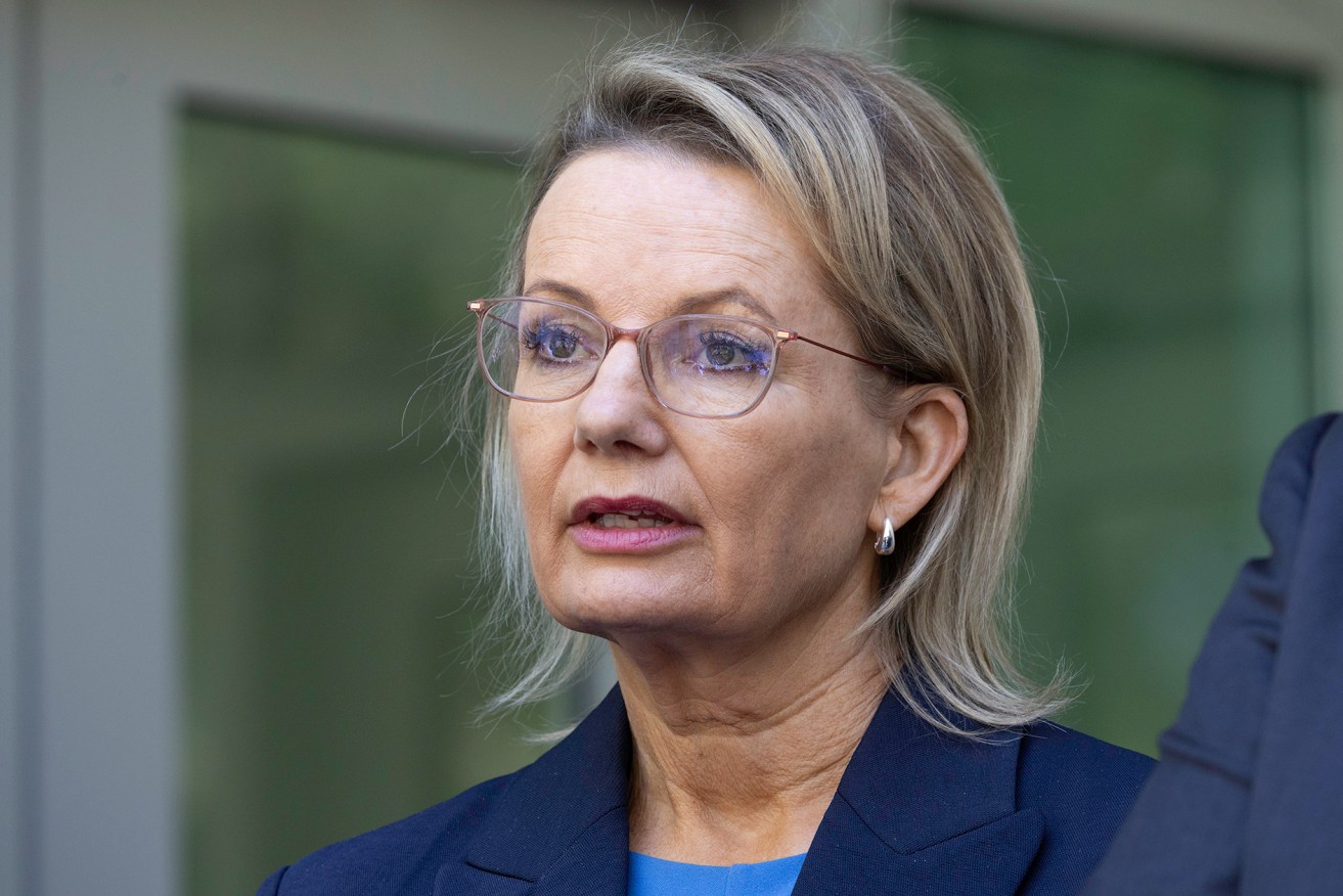 Sussan Ley has taken new career steps after leaving politics earlier in 2026.