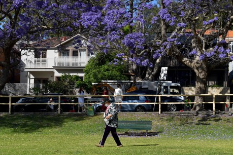 Affluent Sydney suburb rails against housing reform