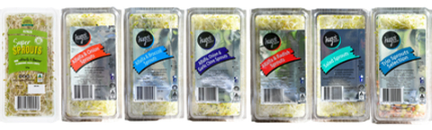 alfalfa sprout recall