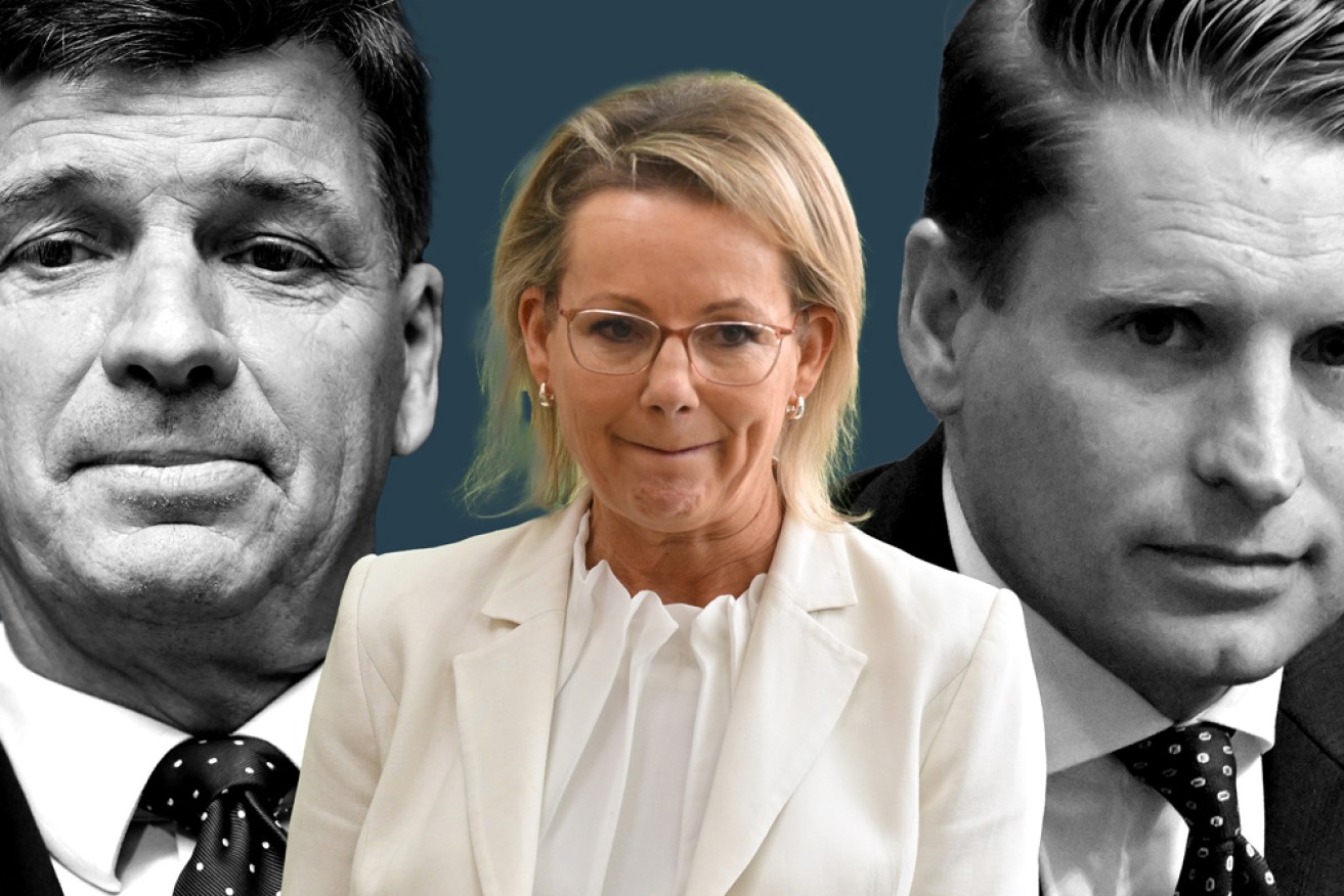 Sussan Ley is feeling the pressure from outspoken conservatives Angus Taylor and Andrew Hastie.
