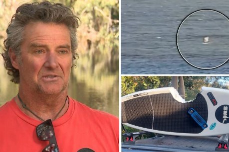 Surfer fights shark that 'hit like a freight train'